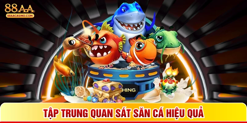 Tập trung quan sát săn cá hiệu quả